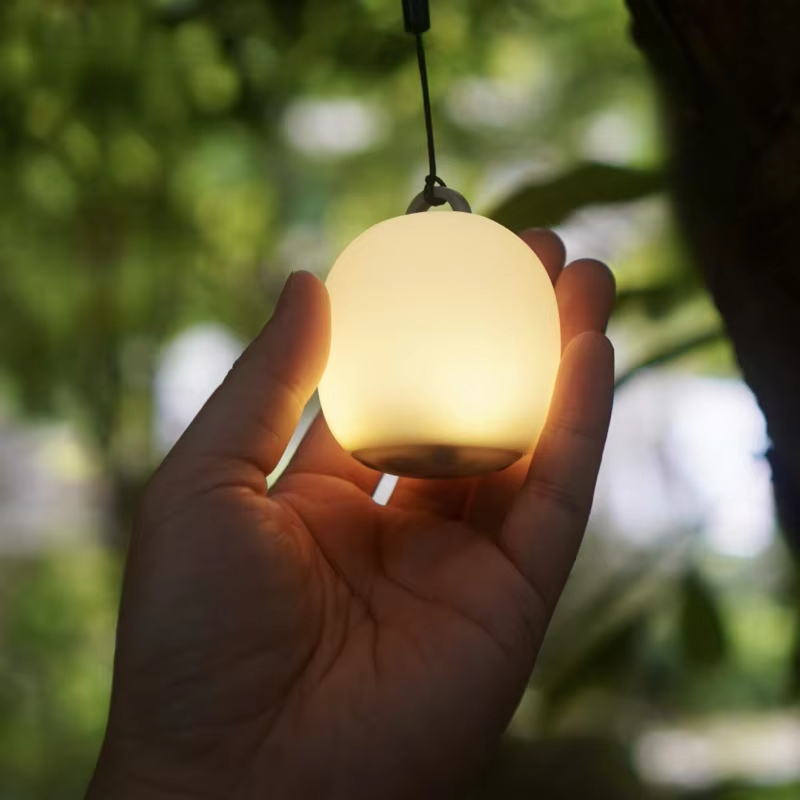 Mini Egg-Shaped Squeeze Silico - Camping Cooking Container review and price