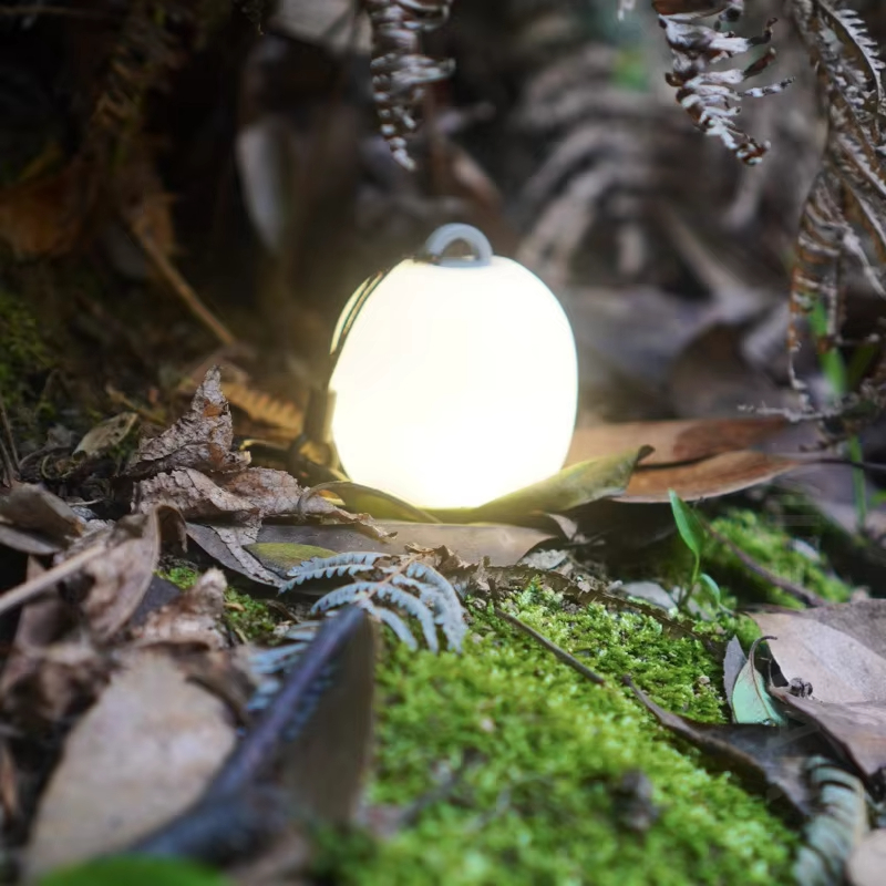 Mini Egg-Shaped Squeeze Silico - Camping Cooking Container review and price